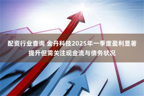 配资行业查询 金丹科技2025年一季度盈利显著提升但需关注现金流与债务状况