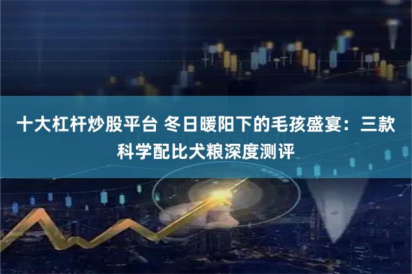 十大杠杆炒股平台 冬日暖阳下的毛孩盛宴：三款科学配比犬粮深度测评